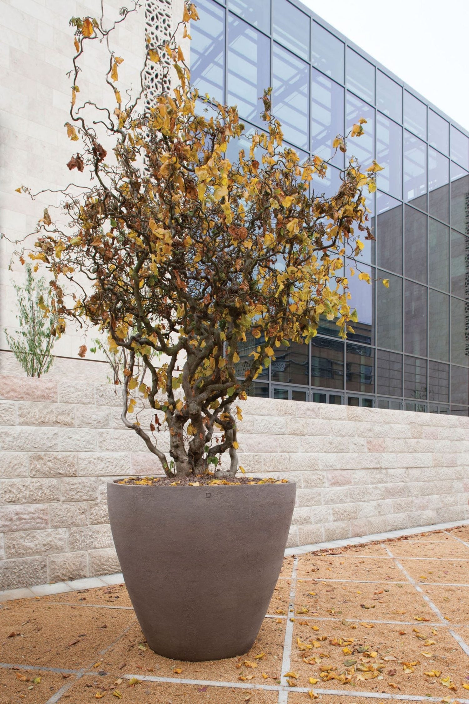 A Vase