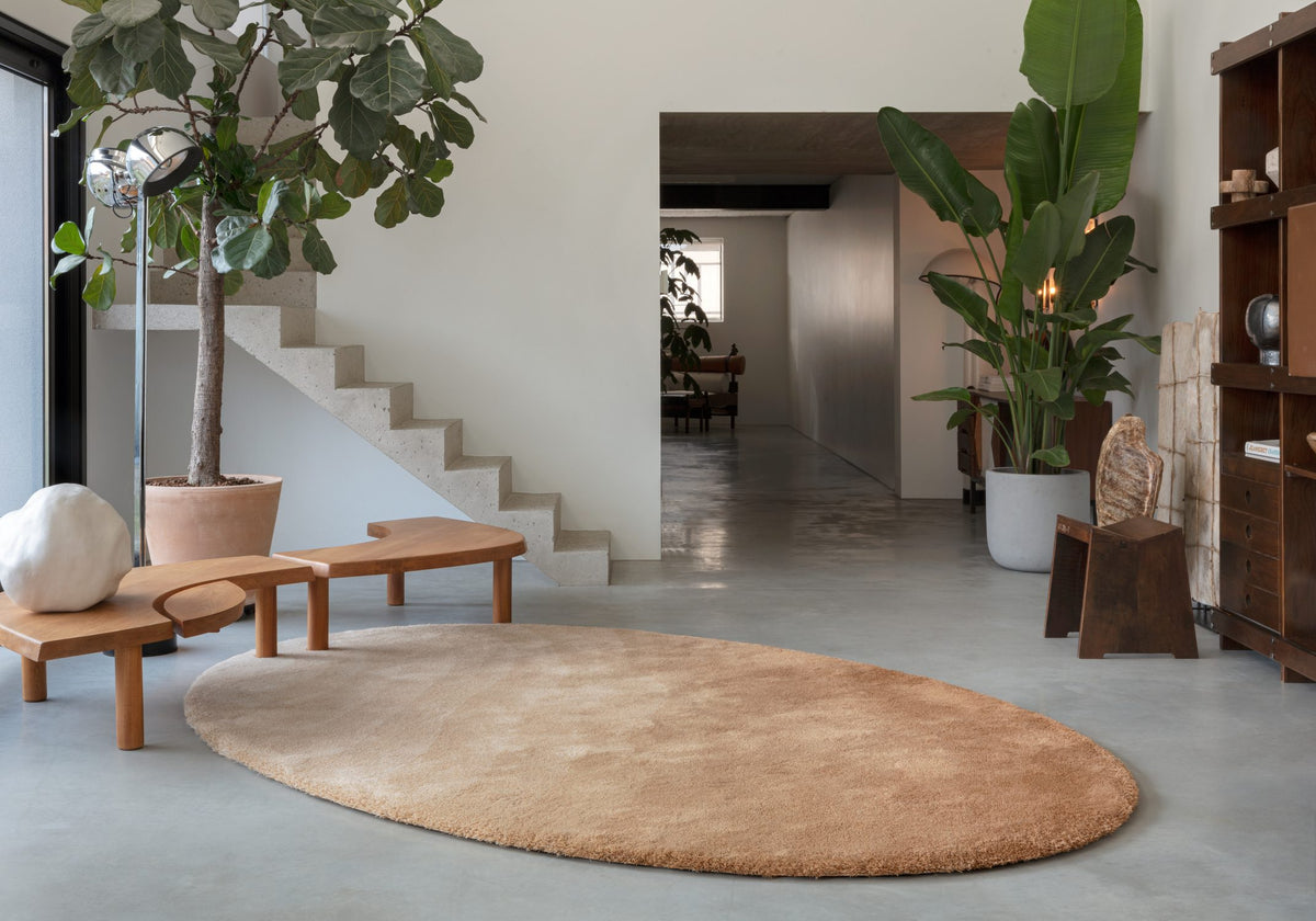 Callisto Chromatic Circle Rug