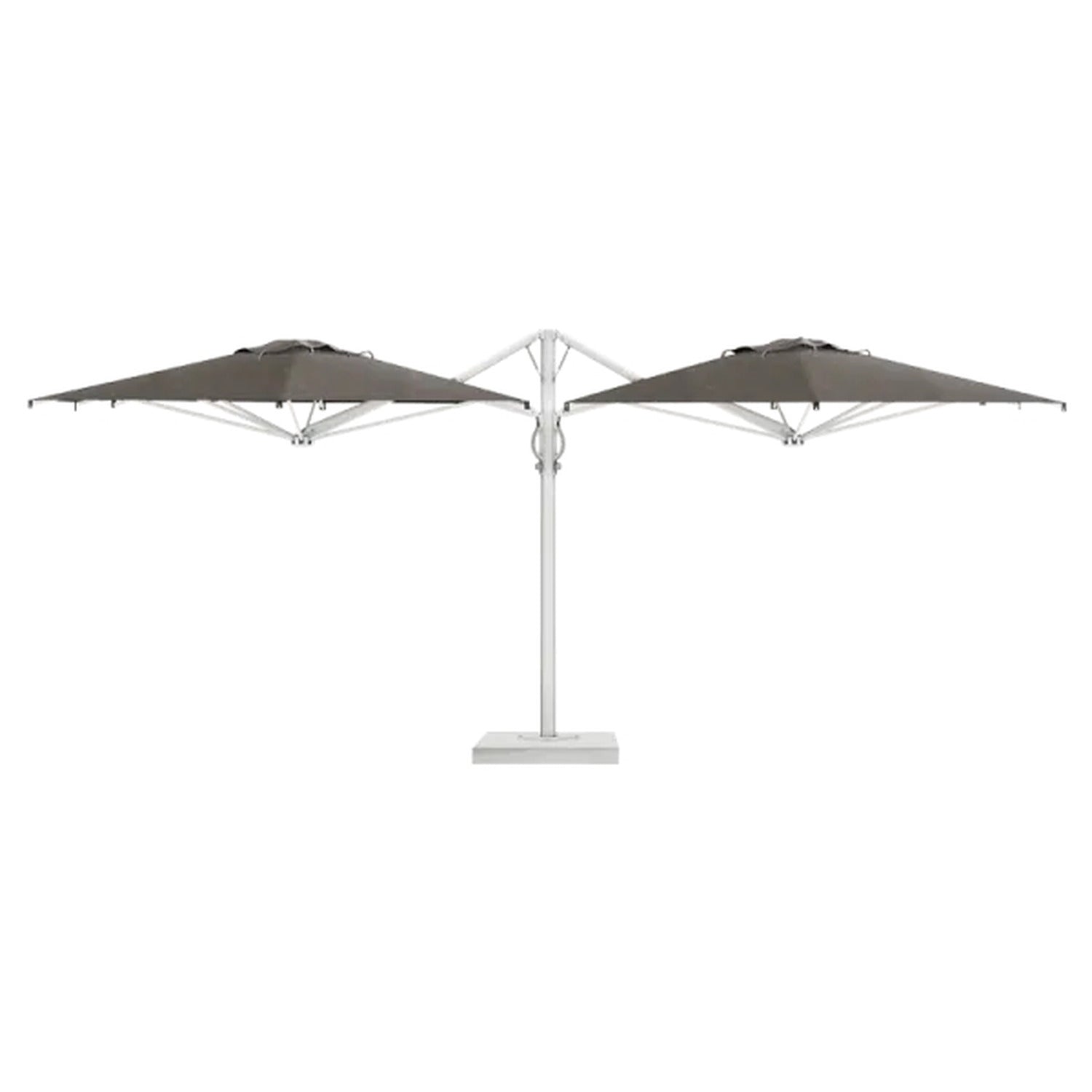 Dual T Parasol