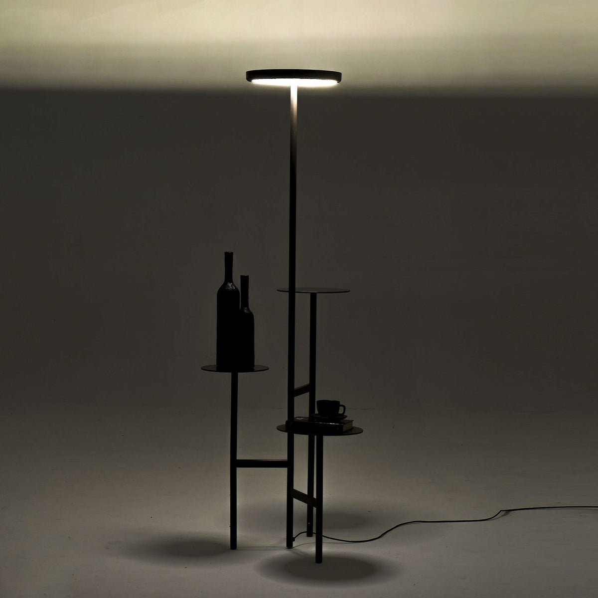 Ikebana Lamp Floor Lamp