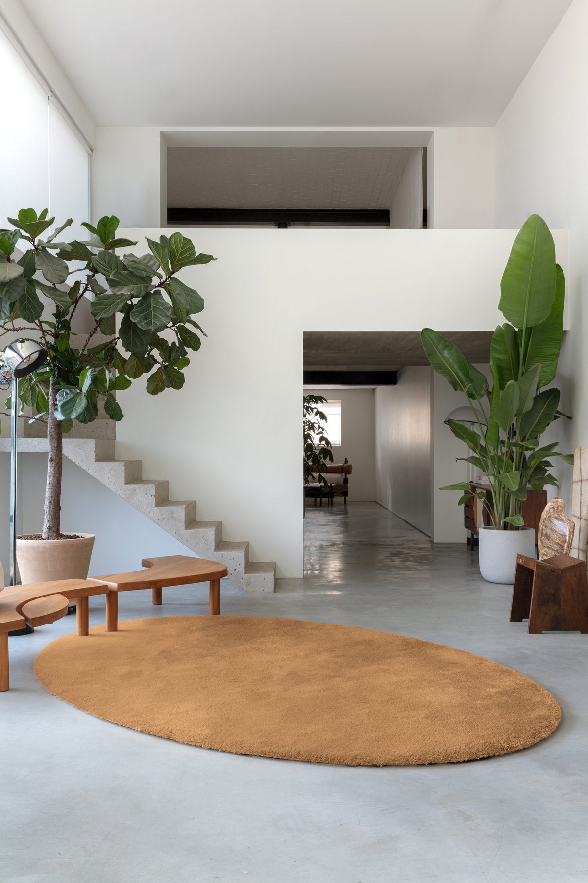 Cosmic Pure Rug