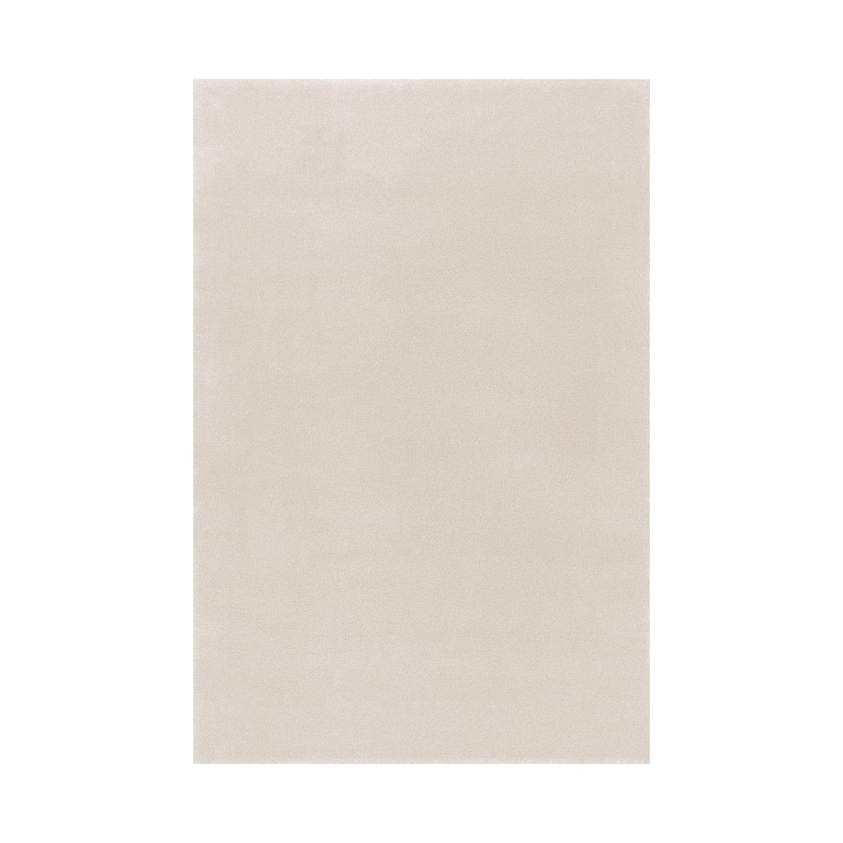 Splendid Medium / High Rug