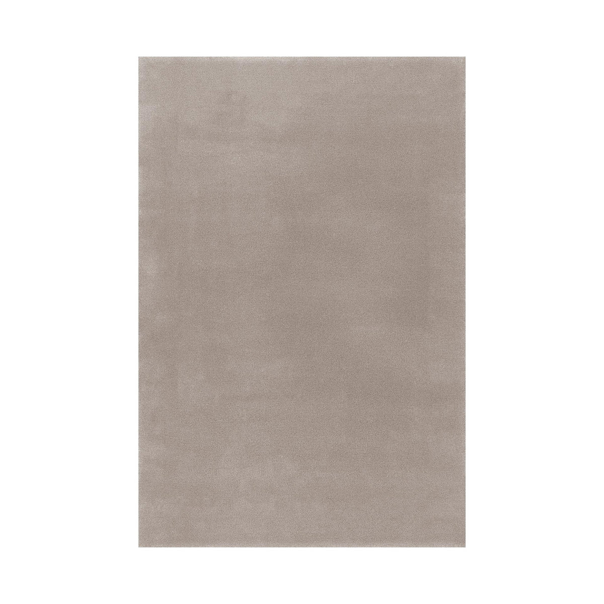 Splendid Medium / High Rug