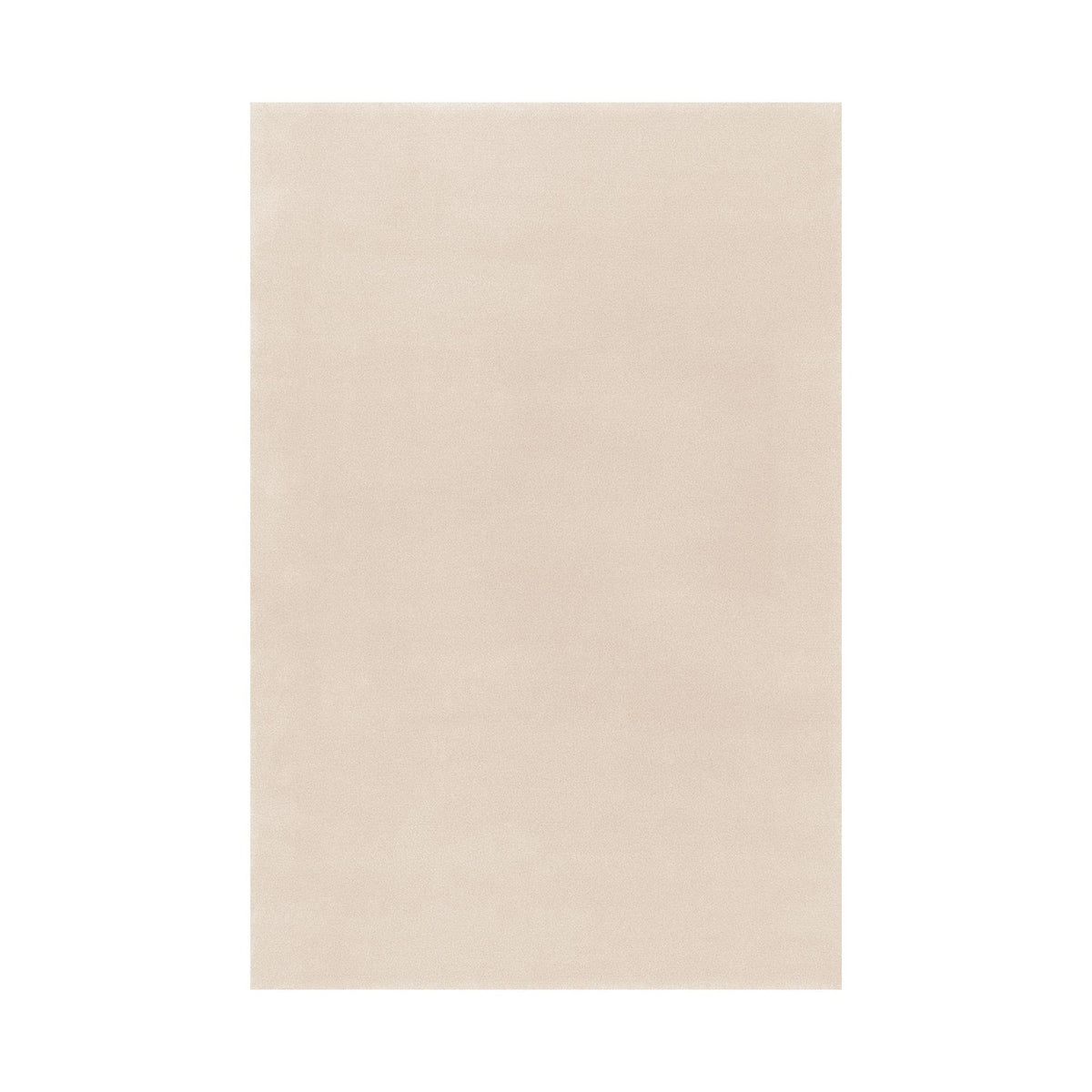 Splendid Medium / High Rug
