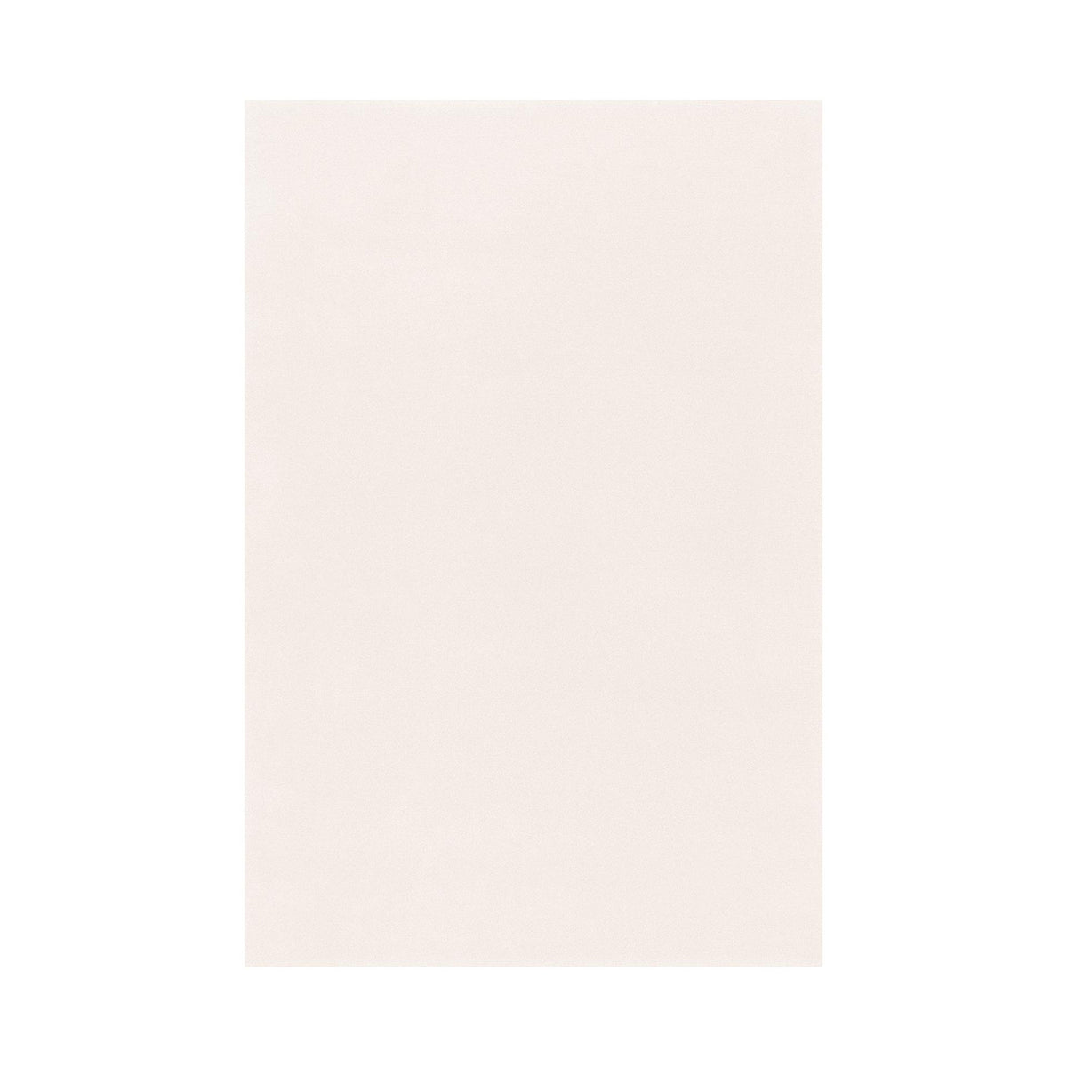 Splendid Medium / High Rug