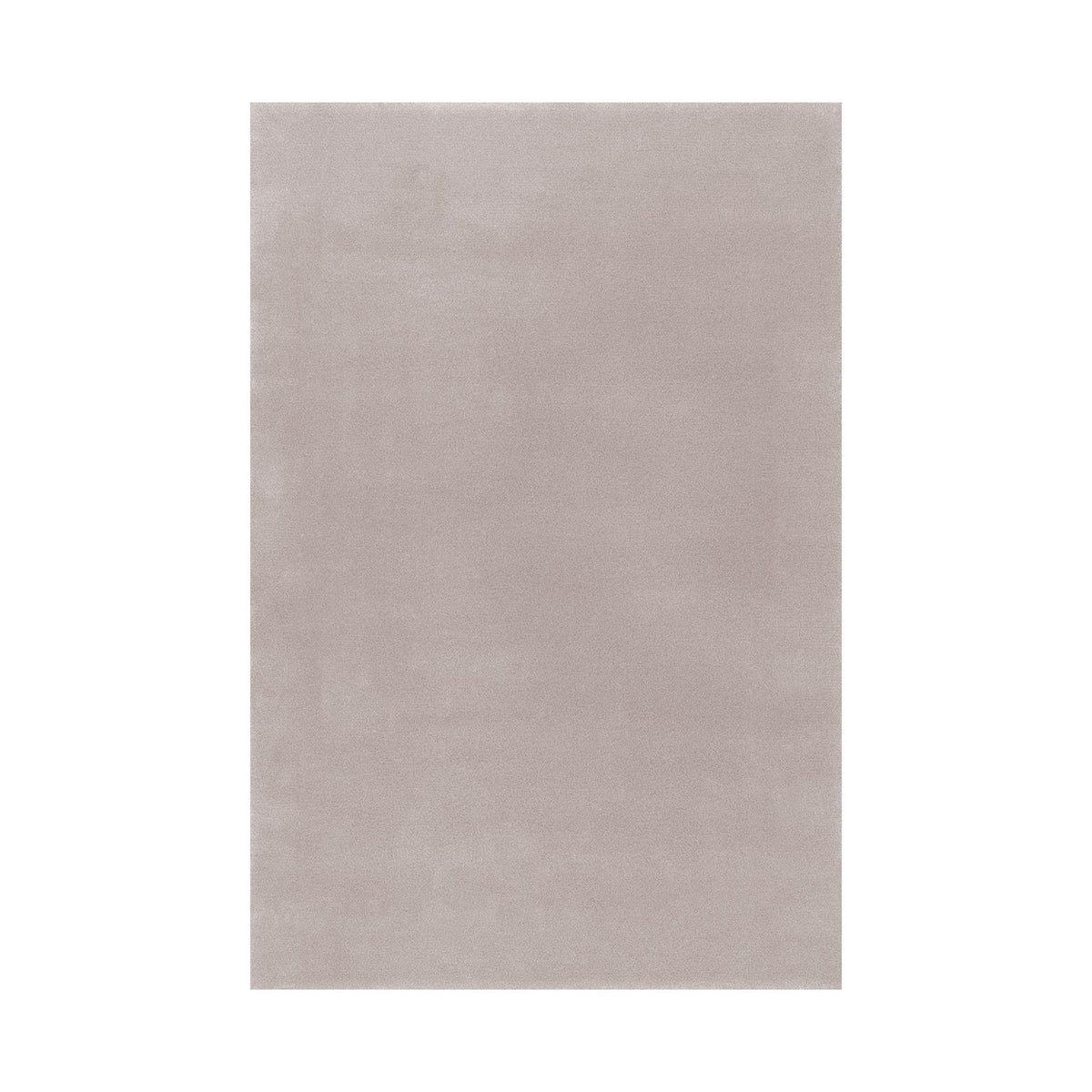 Splendid Medium / High Rug
