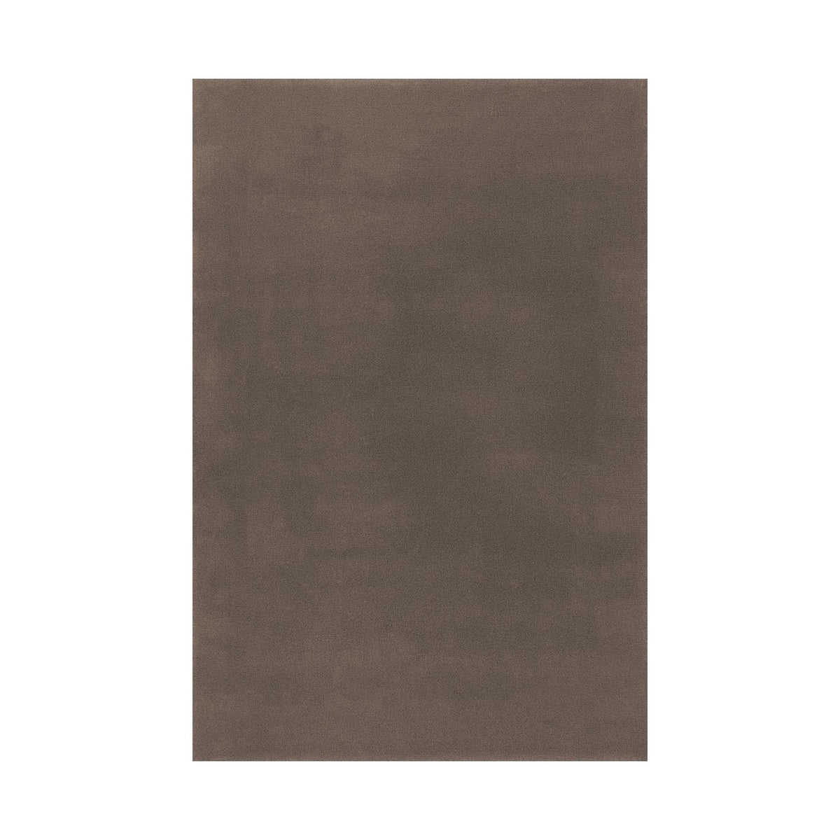Splendid Medium / High Rug