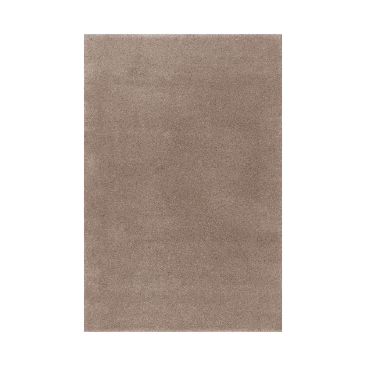Splendid Medium / High Rug
