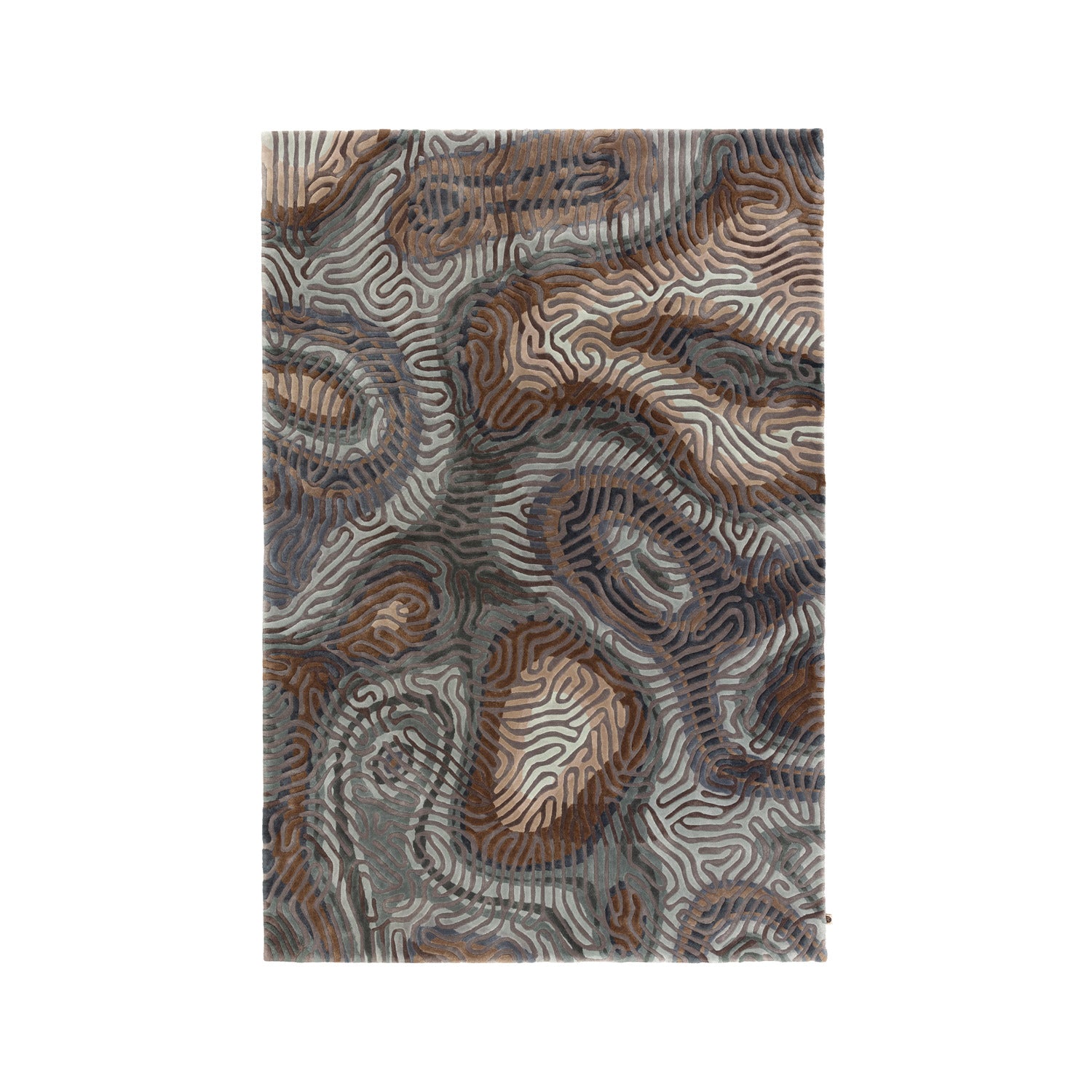 Parallel Brain Rug