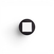 Signet Mirror