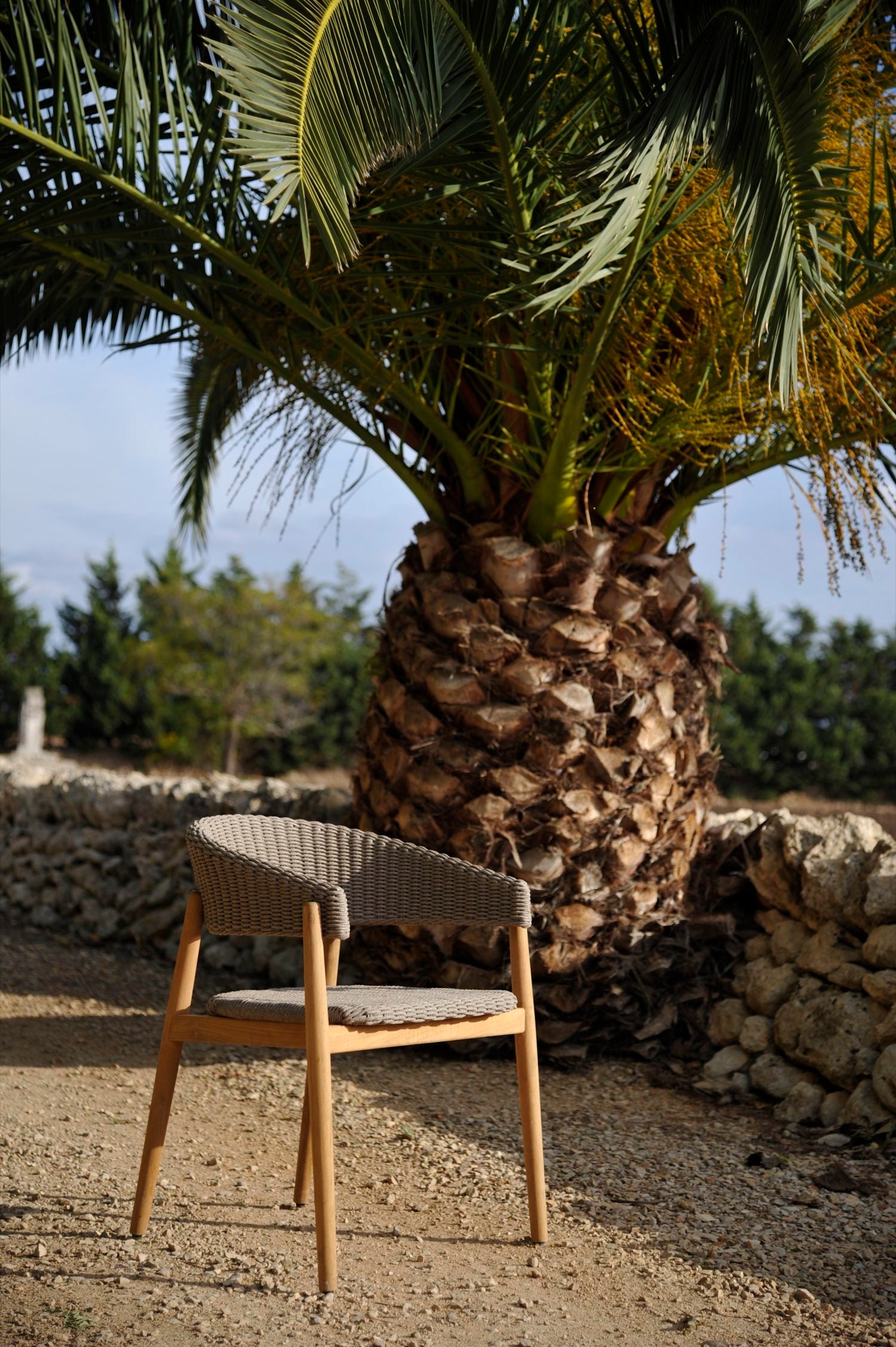 Pevero Small Armchair in Teak and Cord